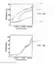 Fig. 18 - SOLAR STEAM PROCESSING OF BIOFUEL FEEDSTOCK AND SOLAR DISTILLATION OF BIOFUELS