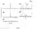 Fig. 04 - CDNA encoding enone oxidoreductase from mango