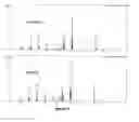Fig. 04 - Methods of producing protoporphyrin IX and bacterial mutants therefor