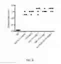 Fig. 07 - Immunotherapeutic potential of modified lipooligosaccharides/lipid A