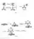 Fig. 03 - Proximity assay for in situ detection of targets