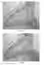 Fig. 08 - Proximity assay for in situ detection of targets