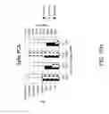 Fig. 103 - Substituted imidazo[1,2-a]pyrazines for use in bioluminogenic methods