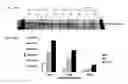 Fig. 53 - Substituted imidazo[1,2-a]pyrazines for use in bioluminogenic methods