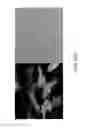Fig. 80 - Substituted imidazo[1,2-a]pyrazines for use in bioluminogenic methods