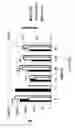 Fig. 97 - Substituted imidazo[1,2-a]pyrazines for use in bioluminogenic methods