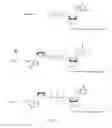 Fig. 03 - Quantitative assessment for cap efficiency of messenger RNA