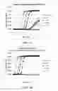 Fig. 04 - Multiphase nucleic acid amplification