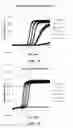 Fig. 12 - Multiphase nucleic acid amplification