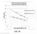 Fig. 20 - Multiphase nucleic acid amplification