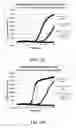 Fig. 31 - Multiphase nucleic acid amplification