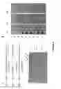 Fig. 10 - Methods of multiplexing DNA sensors and localizing DNA sensor