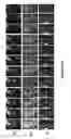 Fig. 20 - Methods of multiplexing DNA sensors and localizing DNA sensor