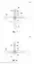 Fig. 03 - Methods for amplifying nucleic acids on substrates