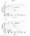 Fig. 05 - Ligase activity