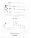 Fig. 19 - Ligase activity