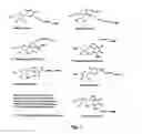 Fig. 02 - Labelled nucleotides
