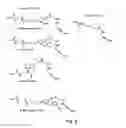 Fig. 03 - Labelled nucleotides