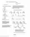 Fig. 04 - Labelled nucleotides