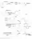 Fig. 05 - Conjugated polymeric particle and method of making same
