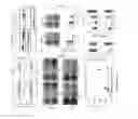 Fig. 06 - Androgen receptor mutation