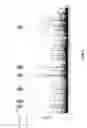 Fig. 05 - Method for evaluating side-effect onset risk in anticancer drug treatment, including detecting MUC4 gene polymorphism