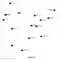 Fig. 03 - Use of microvesicles in analyzing nucleic acid profiles