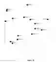 Fig. 05 - Use of microvesicles in analyzing nucleic acid profiles