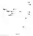 Fig. 11 - Use of microvesicles in analyzing nucleic acid profiles