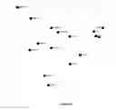 Fig. 13 - Use of microvesicles in analyzing nucleic acid profiles
