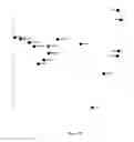 Fig. 15 - Use of microvesicles in analyzing nucleic acid profiles