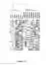 Fig. 22 - Use of microvesicles in analyzing nucleic acid profiles