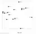 Fig. 31 - Use of microvesicles in analyzing nucleic acid profiles