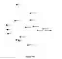 Fig. 38 - Use of microvesicles in analyzing nucleic acid profiles