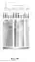 Fig. 40 - Use of microvesicles in analyzing nucleic acid profiles