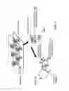 Fig. 06 - Analysis of Rare Cell-Enriched Samples