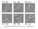 Fig. 24 - Analysis of Rare Cell-Enriched Samples