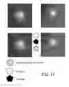 Fig. 25 - Analysis of Rare Cell-Enriched Samples