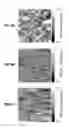 Fig. 05 - Method for controlling donor concentration in GaO-based and method for forming ohmic contact