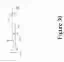 Fig. 37 - FLOOD PREVENTION SYSTEMS FOR APPLIANCES