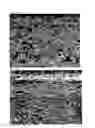 Fig. 03 - ARTIFICIAL LEATHER SUBSTRATE, GRAIN-LIKE-FINISH ARTIFICIAL LEATHER, METHOD FOR PRODUCING ARTIFICIAL LEATHER SUBSTRATE, AND MODIFYING AGENT FOR ARTIFICIAL LEATHER SUBSTRATE