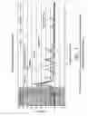 Fig. 05 - Biomass process optimisation