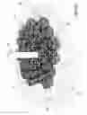 Fig. 07 - Scour remediation and mitigation apparatus