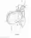 Fig. 04 - Primed jet toilet
