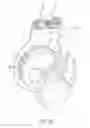 Fig. 05 - Primed jet toilet