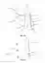 Fig. 05 - Self-supporting and load bearing structural joint
