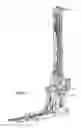Fig. 03 - Modular drilling rig system