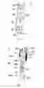 Fig. 07 - Environment friendly metal mechanical password lock cylinder capable of setting repeated password keys