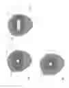 Fig. 04 - Drill bit with fixed cutter elements