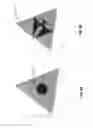 Fig. 10 - System and method for modeling and design of pulse fracturing networks